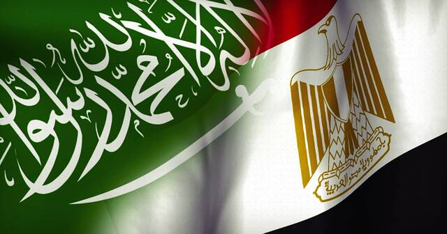 وزير الخارجية: تنسيق مصري سعودي لحماية أمن البحر الأحمر