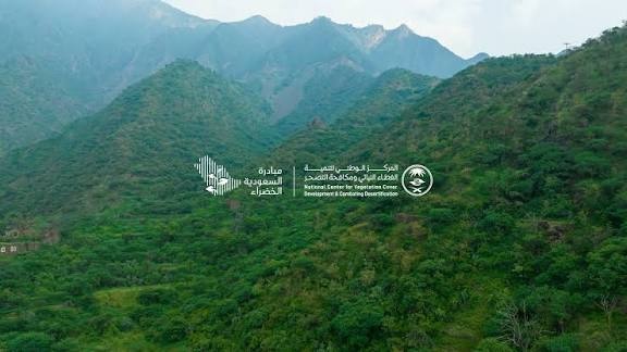 NCVC Launches Caper Seed Collection Season to Support Biodiversity, Ecosystem Sustainability