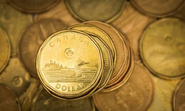 الدولار الكندي يهبط لأدنى مستوى في 14 شهراً