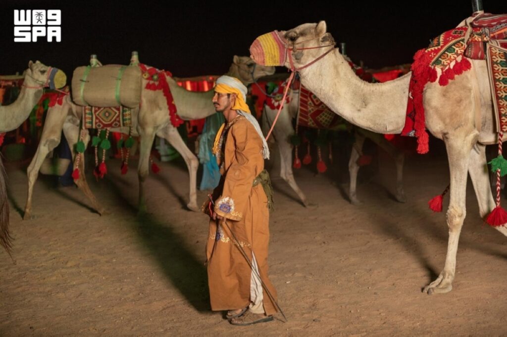 العلا تحتفي بإرث الإبل
وتعيد صياغة حضورها في المشهد الثقافي والرياضي