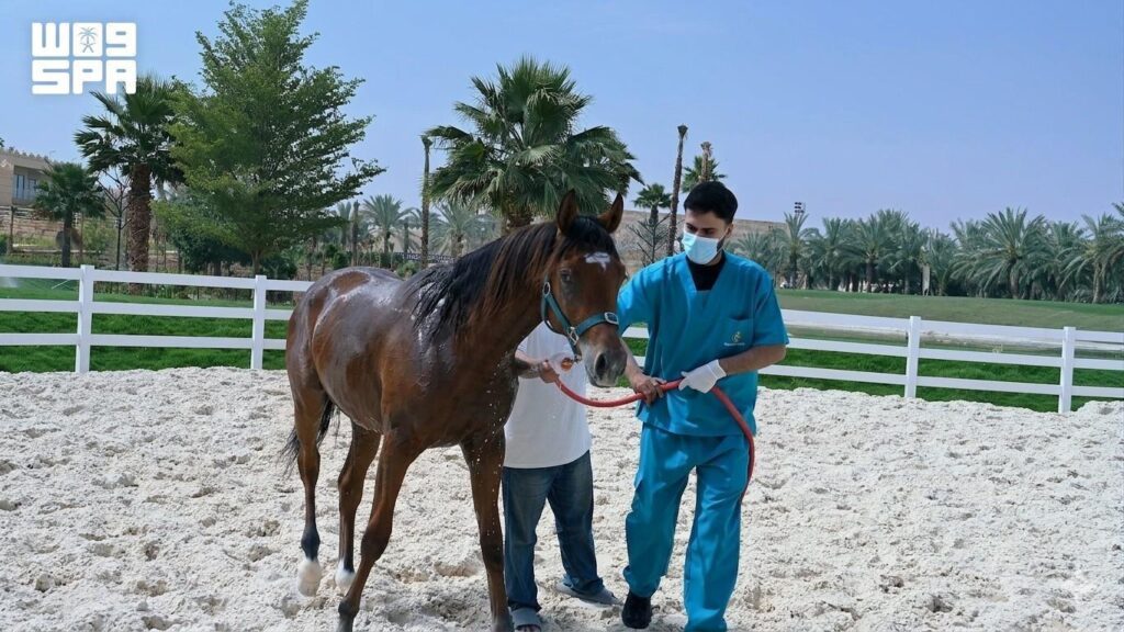 Saudi Arabia Declared Free of Equine Viral Arteritis