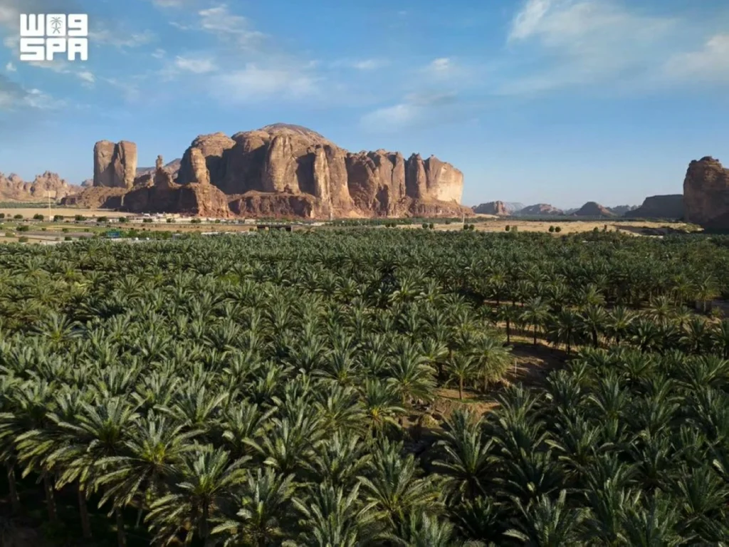Saudi Arabia marks World Day to Combat Desertification with restoration milestones