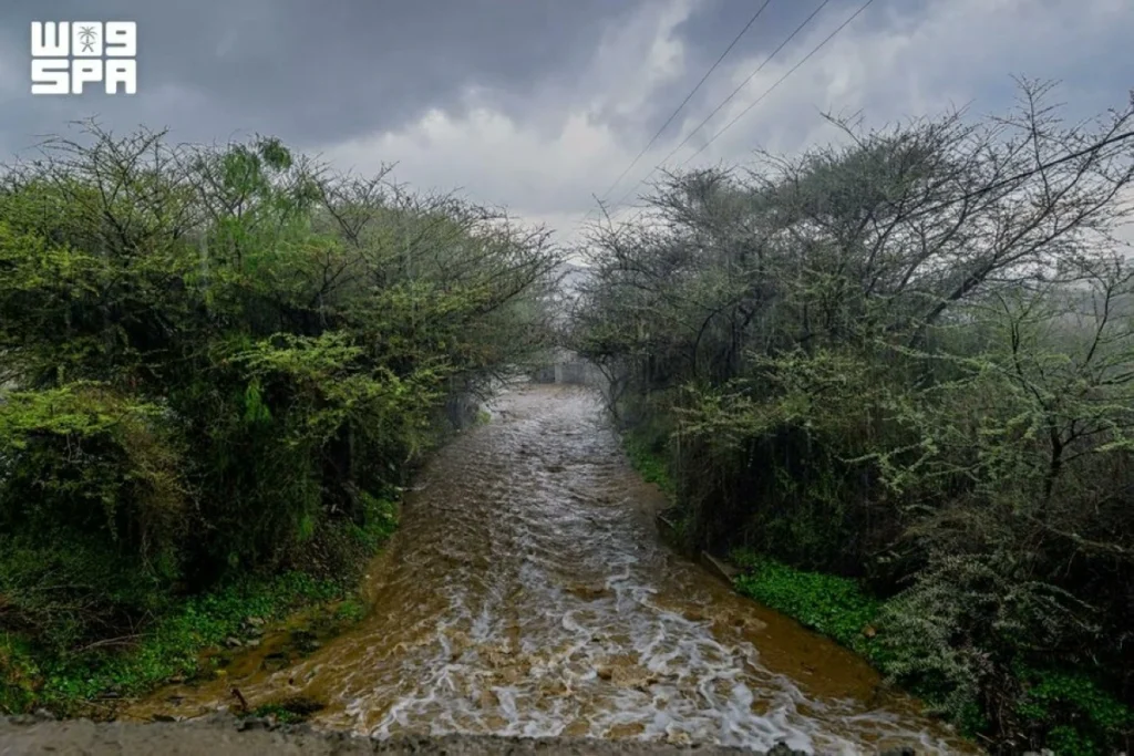 Thunderstorms, strong winds and extreme heat forecast across Kingdom