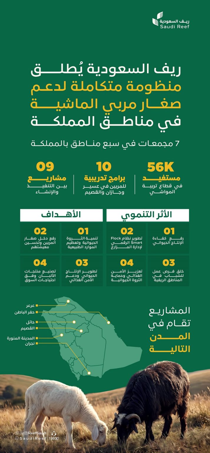 تنفيذ مجمعات نموذجية للإنتاج الحيواني في 7 مناطق ضمن جهود دعم المربين
