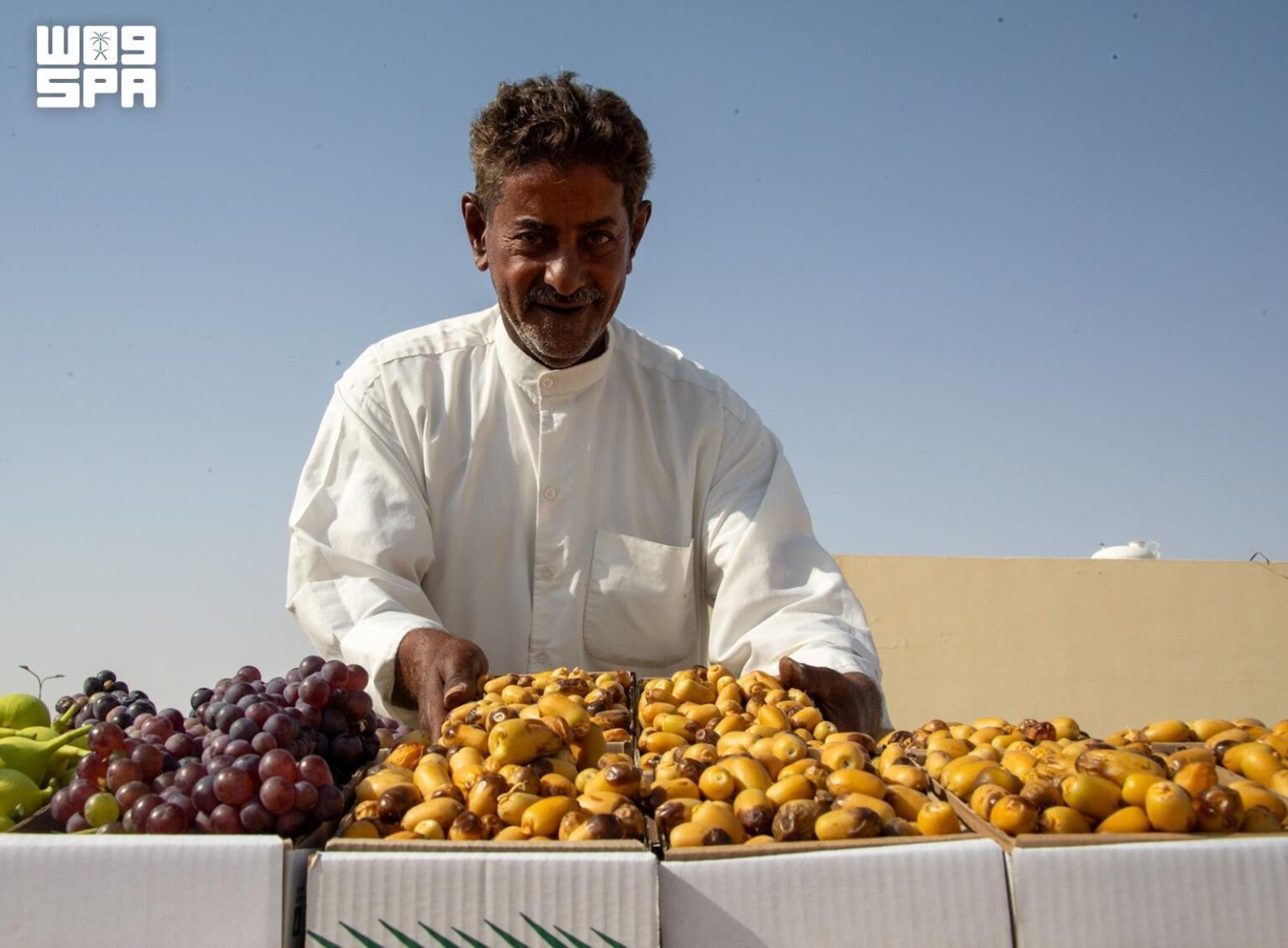 Early Date Harvest Arrives in Al-Ahsa Central Markets