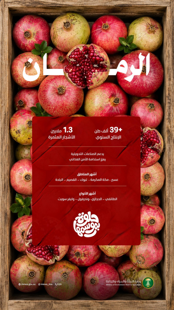 1.3 مليون شجرة رمان في المملكة تنتج 39.7 ألف طن خلال موسم الصيف