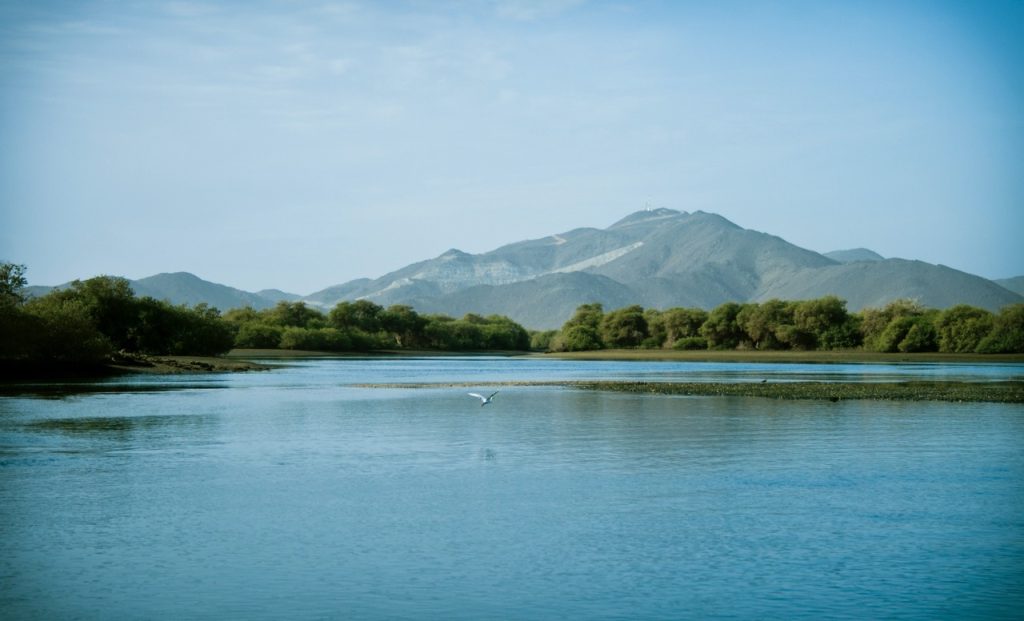 Shurooq redefines development in Kalba’s sensitive natural environments