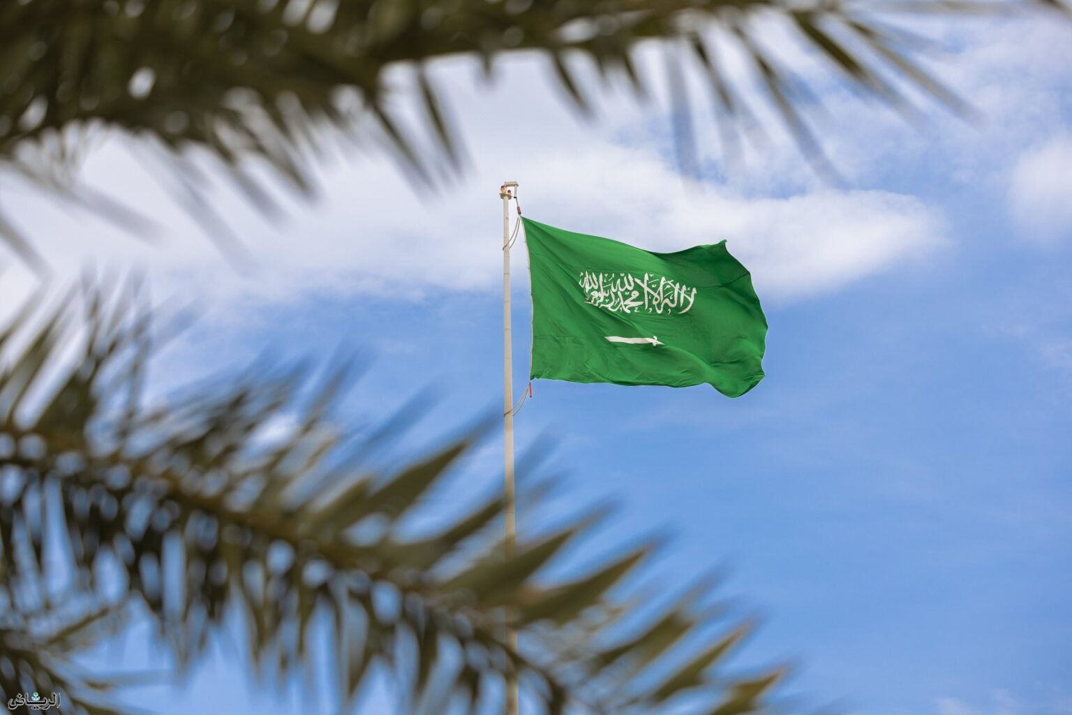المملكة و7 دول عربية وإسلامية تدين استمرار وتصاعد عنف المستوطنين ضد الفلسطينيين في الضفة الغربية المحتلة