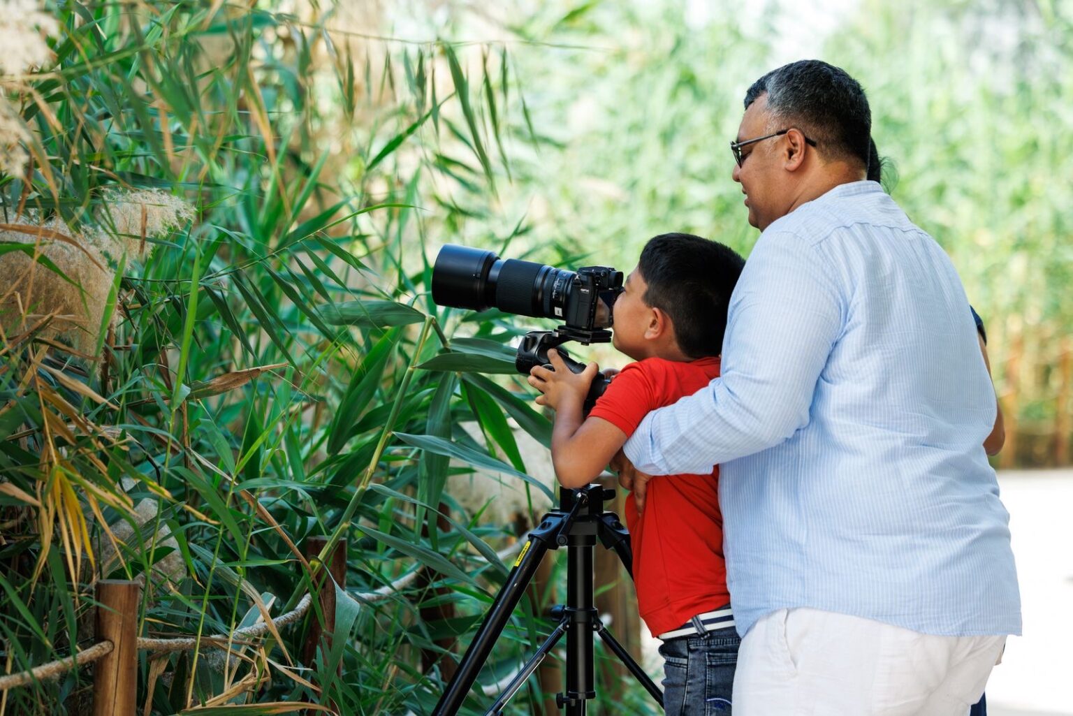 Dubai residents record 506 species in City Nature Challenge with participation up 37% over 2025