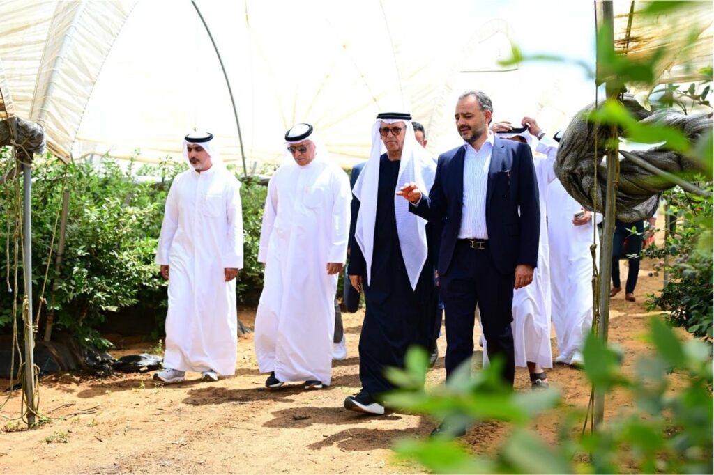 "إيليت أجرو القابضة" تعزز حضورها الزراعي في المغرب باستثمارات 500 مليون درهم