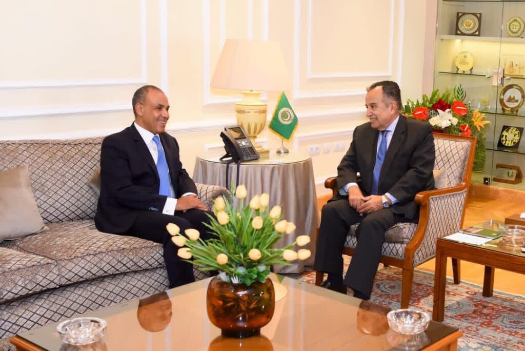 Arab League Secretary-General, Egyptian Foreign Minister stress importance of advancing joint Arab action