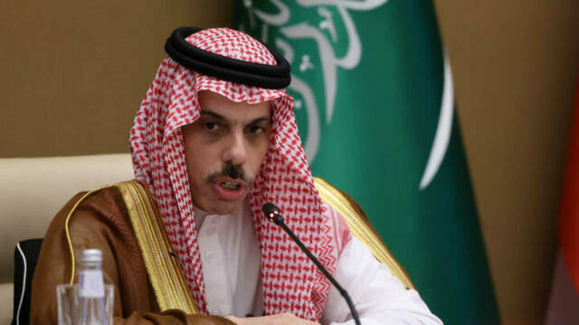 السعودية وفلسطين تبحثان تعزيز العمل المشترك وتطورات غزة