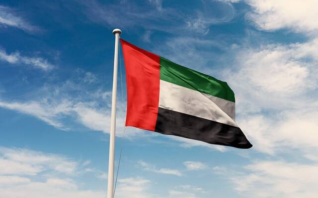الإمارات تدين الهجمات على السعودية والأردن وتؤكد تضامنها الكامل مع البلدين