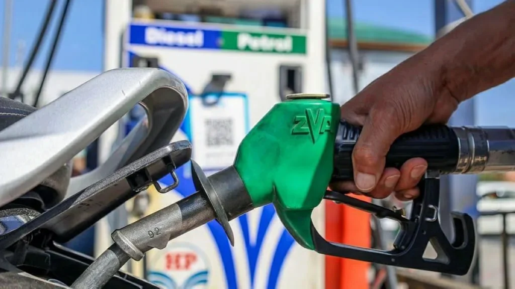 Motorists wary as India adds biofuels to petrol