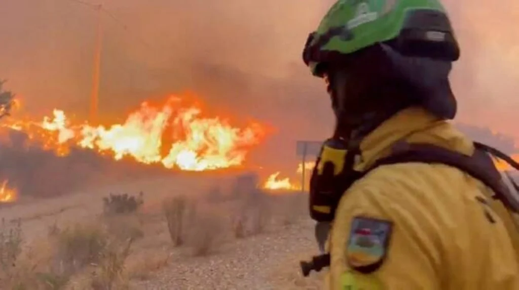 Wildfires in southern Spain kill 12 amid soaring temperatures
