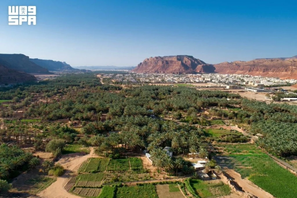AlUla launches new agricultural season backed by 130,000-ton annual date harvest