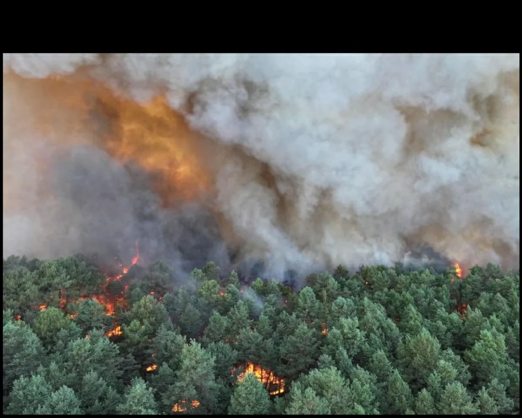 Fire bomber planes battle wildfires of ‘exceptional scale’ near Paris