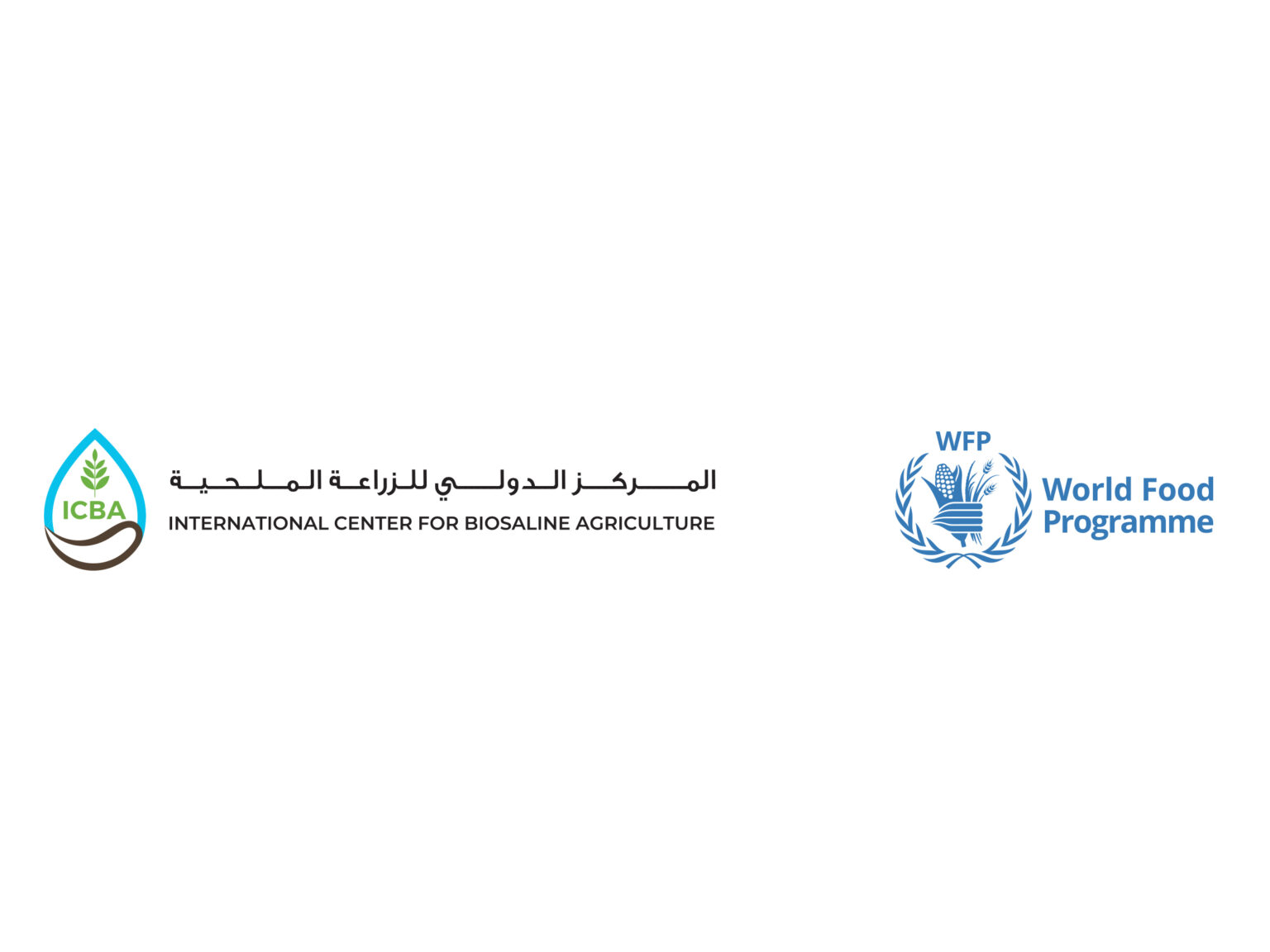 WFP, ICBA launch project to strengthen water governance, food security in Iraq