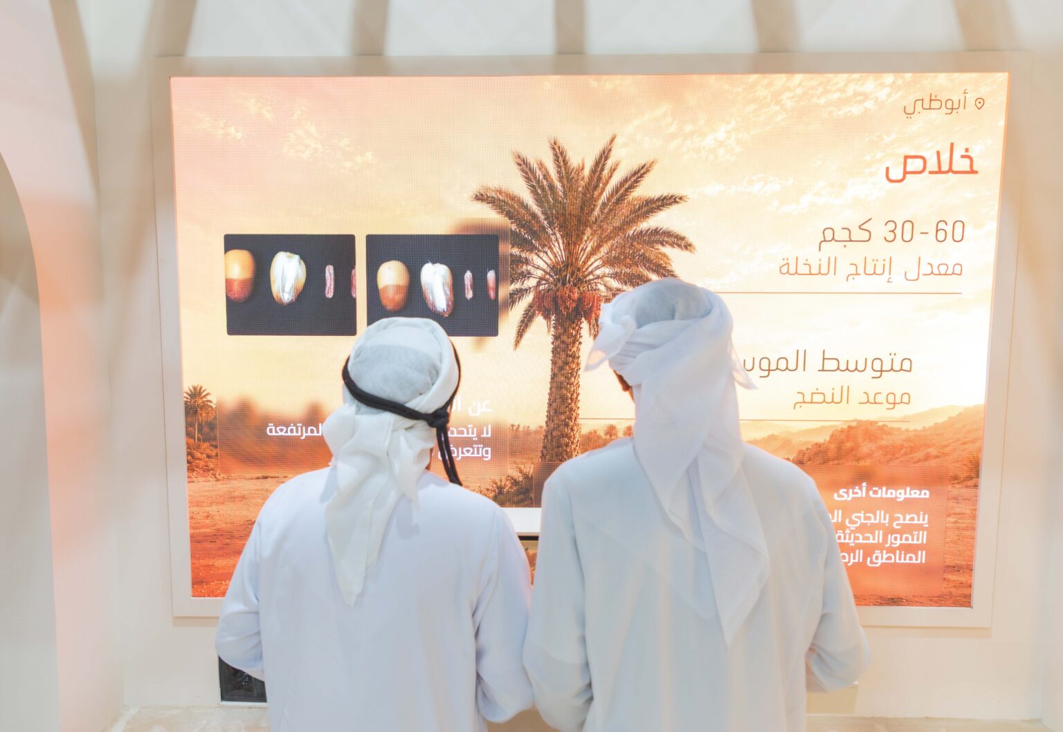 "العين للرطب " يعرض خريطة رقمية لأصناف النخيل عبر"اكتشف رطب الإمارات"