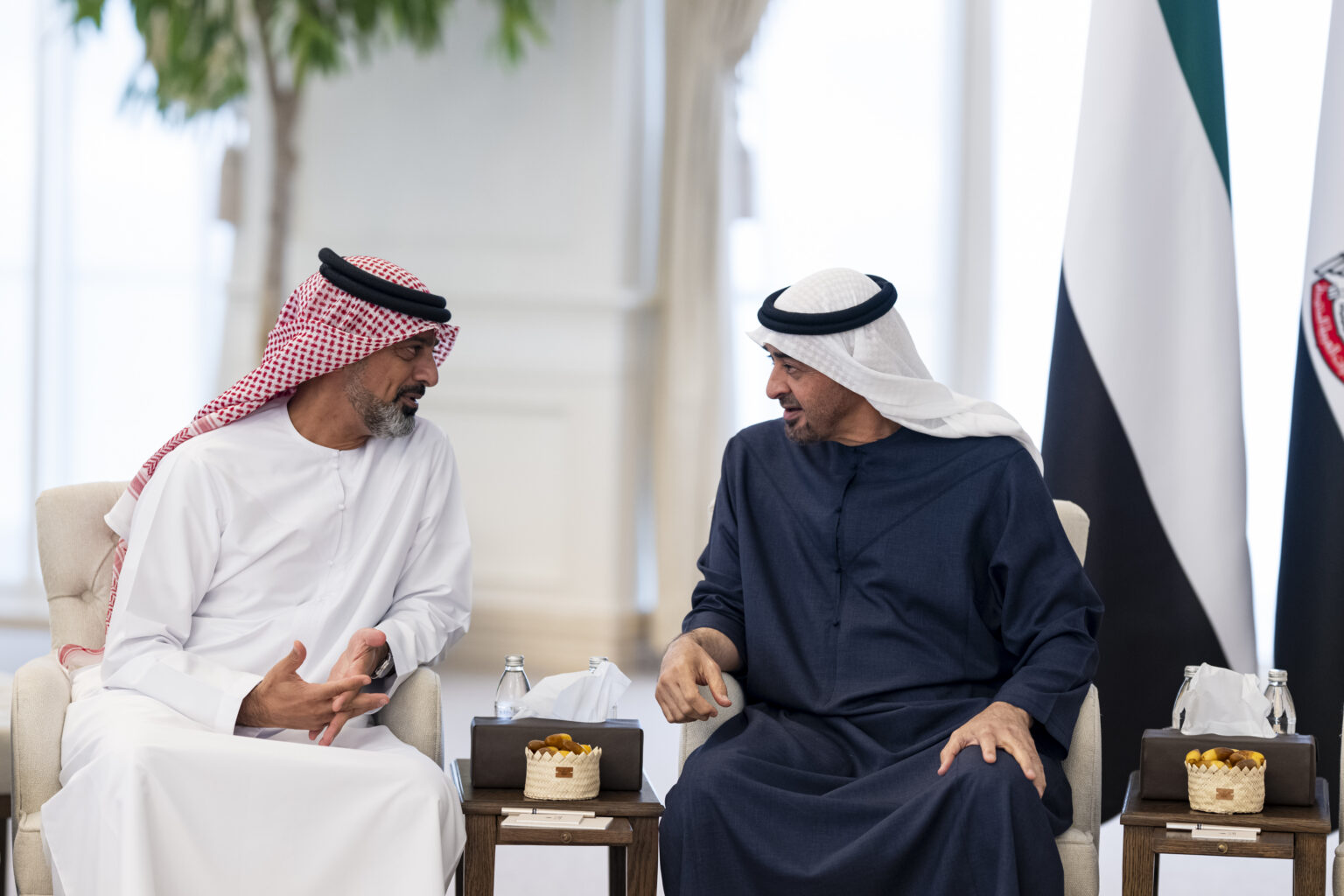 رئيس الدولة يستقبل ولي عهد عجمان