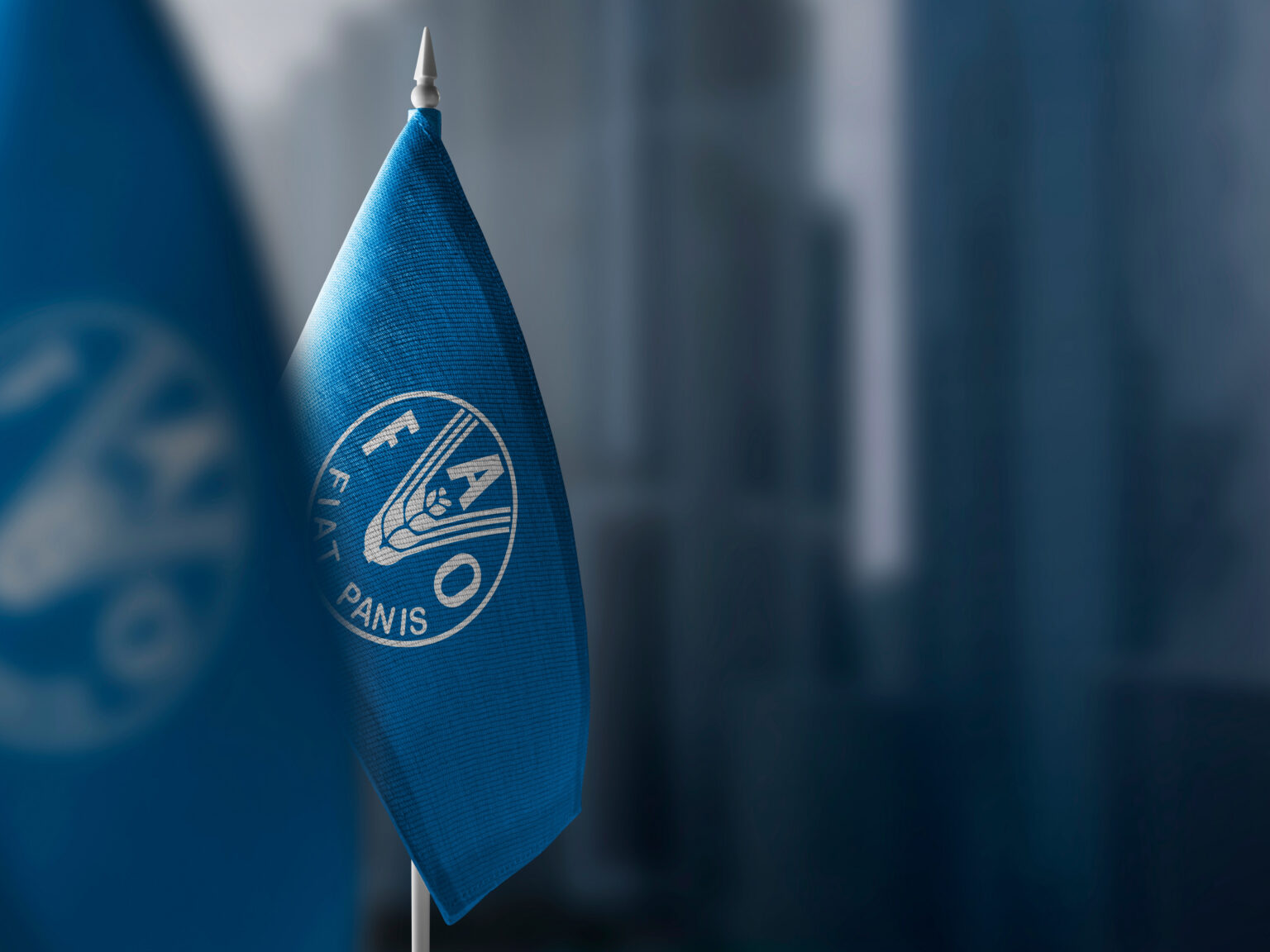 "فاو" : تراجع مستويات الجوع عالمياً للعام الثالث على التوالي