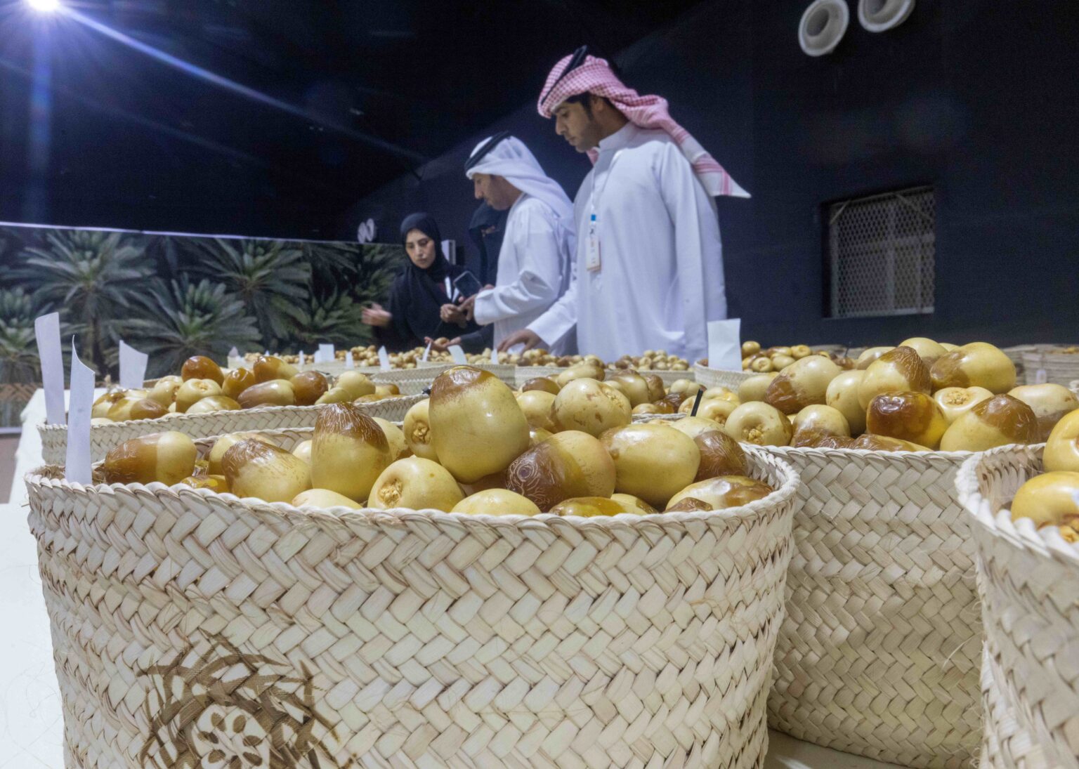 من ليوا إلى العين والوثبة.. تحكيم الرطب يعزز الممارسات الزراعية المستدامة
