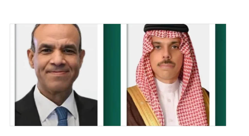 Saudi, Egyptian foreign ministers discuss regional developments in phone call
