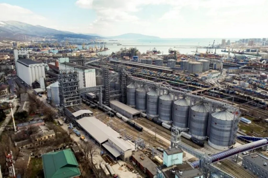 Russian grain export terminals hit in Ukrainian strike on Black Sea port