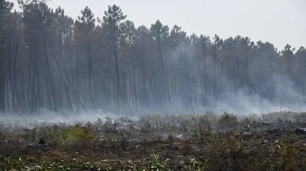 Wildfire burns 1,600 hectares in southwestern France, forces 650 to evacuate