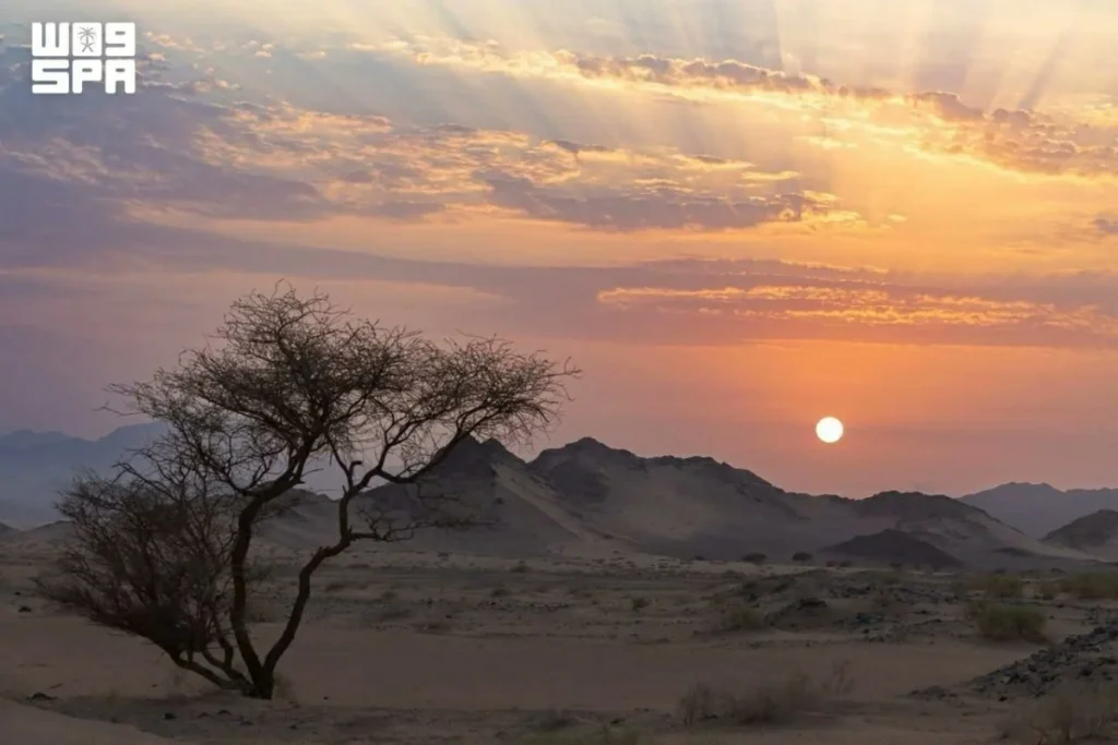 September ranks among Saudi Arabia’s hottest months: What climate data reveals
