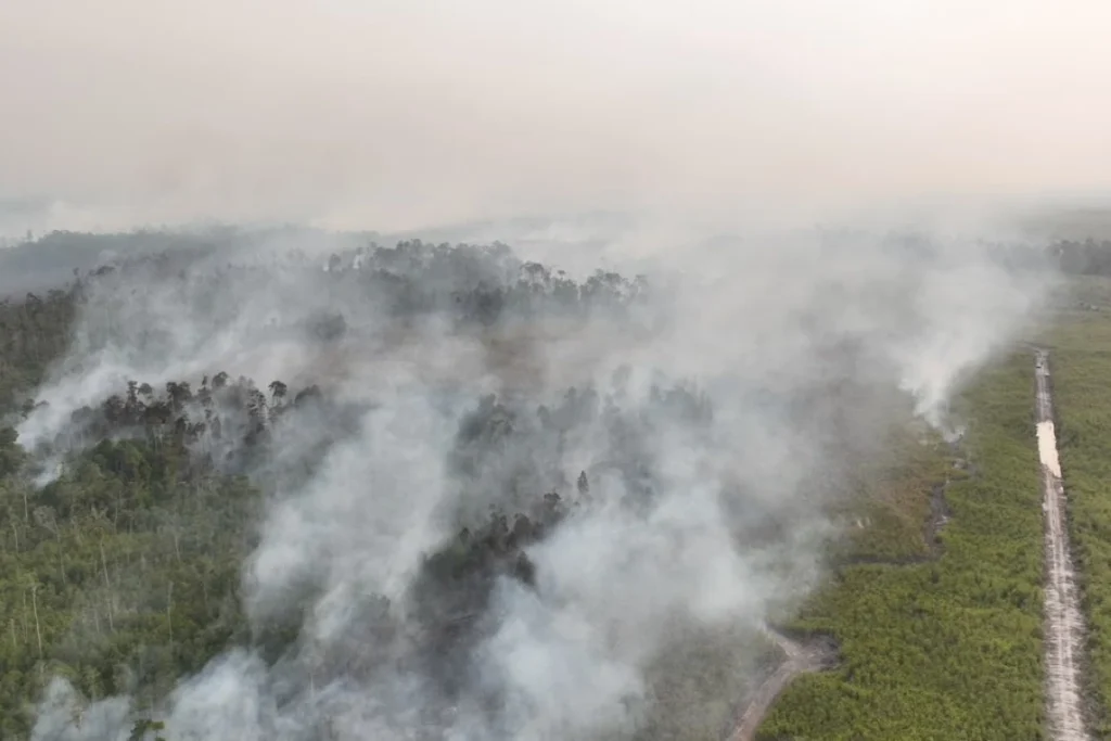 Indonesia arrests 72 over forest fires as choking haze spreads to Malaysia