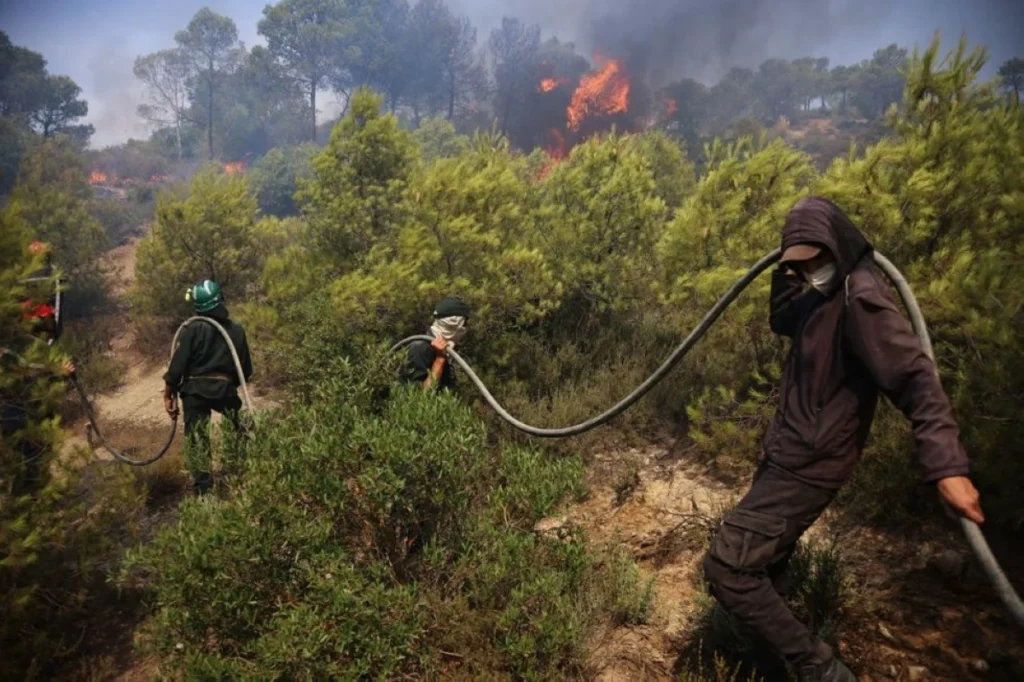 Forest fires kill at least 12 people in Algeria as severe heatwave grips North Africa