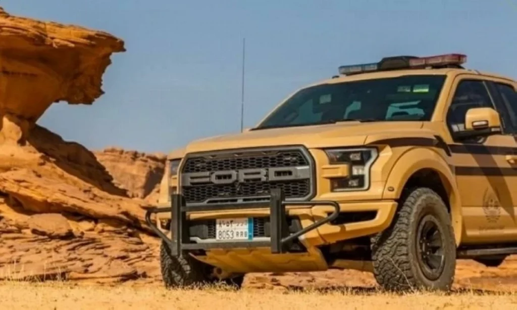 4 citizens arrested for hunting 15 wild animals at King Salman Royal Reserve