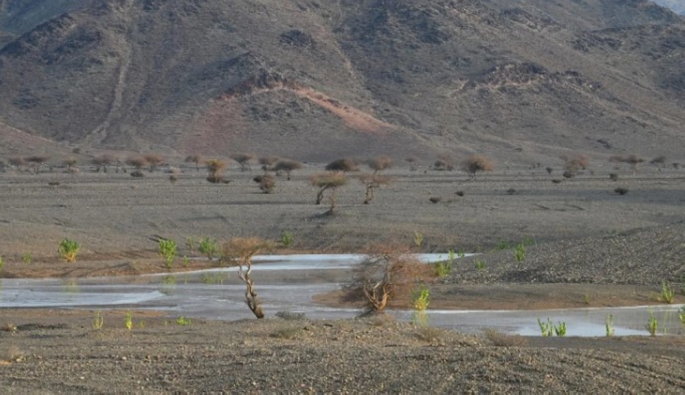صور | الفرصة مهيَّأة للمزيد.. هطول أمطار على أجزاء متفرقة من المدينة المنورة
