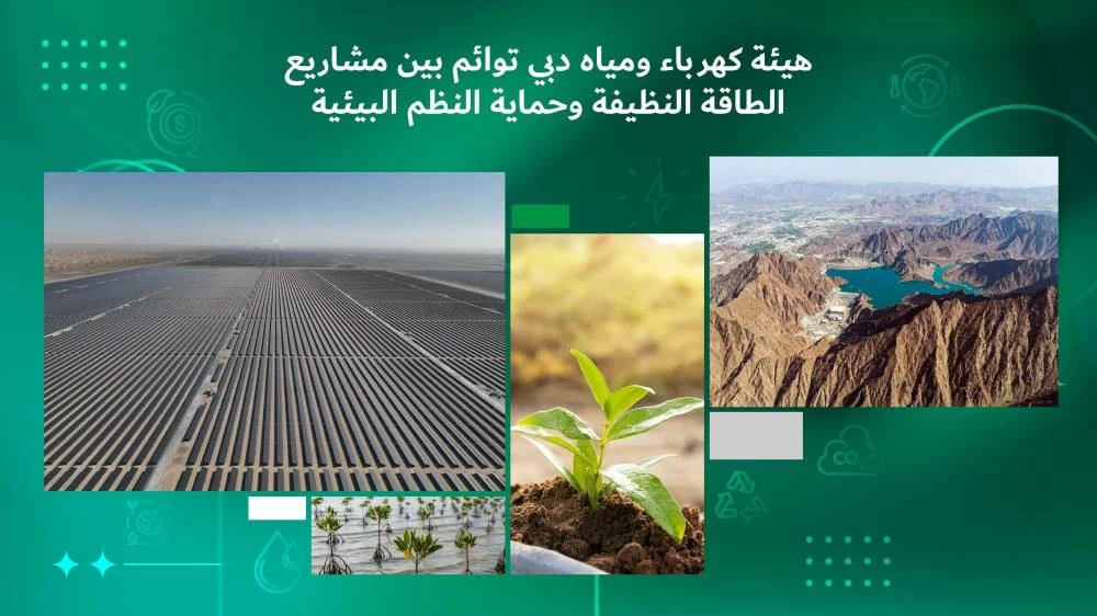 DEWA aligns clean energy projects with environmental stewardship