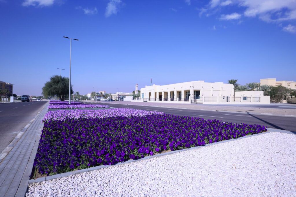 Al Ain showcases 99 million year-round blooms in evolving tapestry