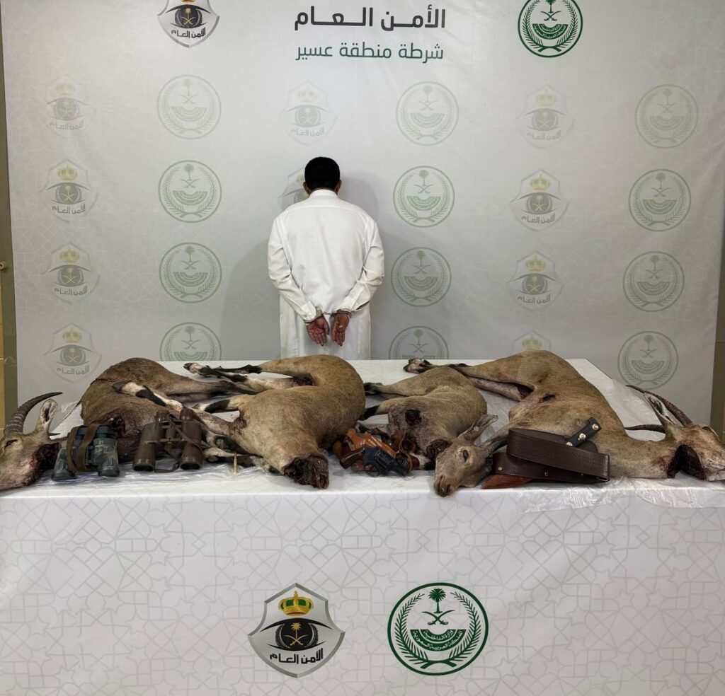 القبض على مخالف لنظام البيئة لارتكابه مخالفة صيد «الوعل» بعسير