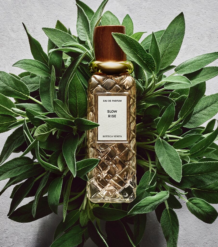 Bottega Veneta تطلق مجموعة Alta التي تضمّ 10 عطور جديدة