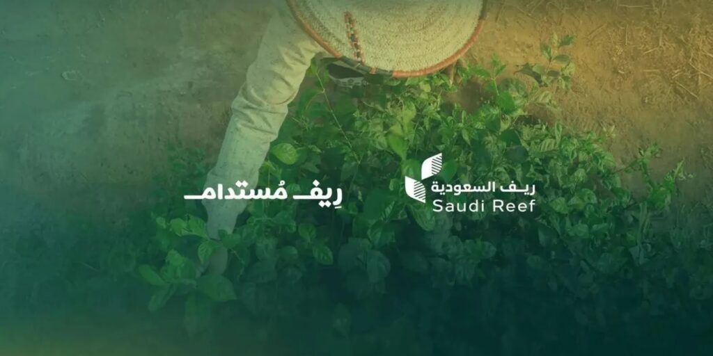 Saudi Reef Reports Progress on Five Coffee Development Projects, Completion Expected by Year-End