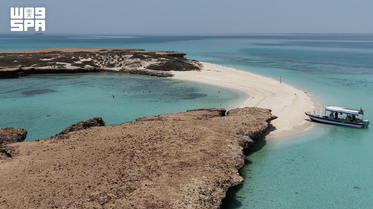 What Makes the Farasan Islands a Global Model for Nature Conservation?