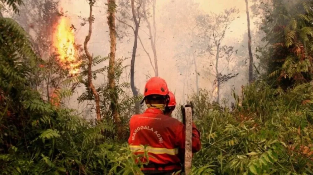 Indonesia records 175,000 respiratory infections as wildfires fuel haze