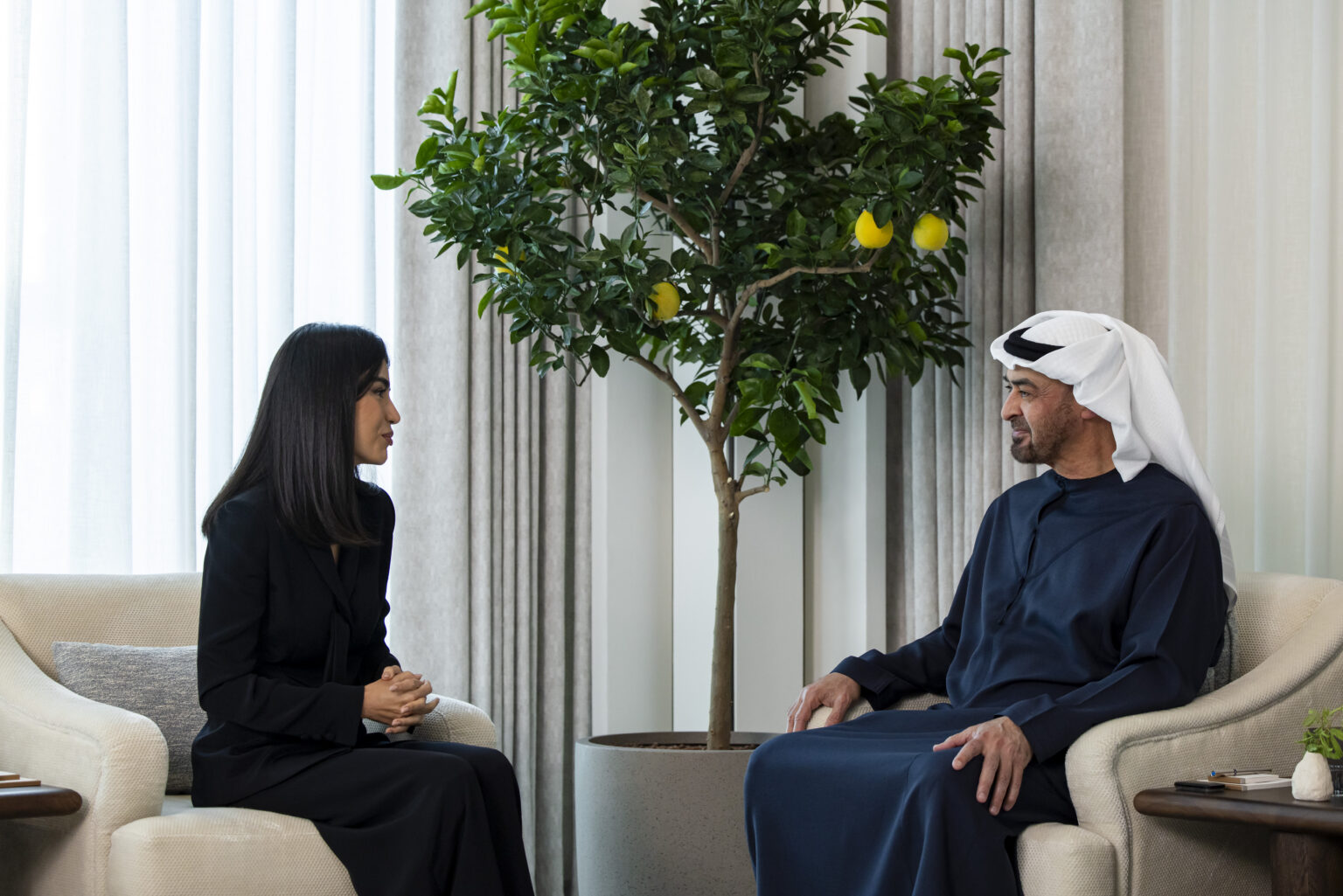 UAE President receives Head of Uzbekistan’s Presidential Administration
