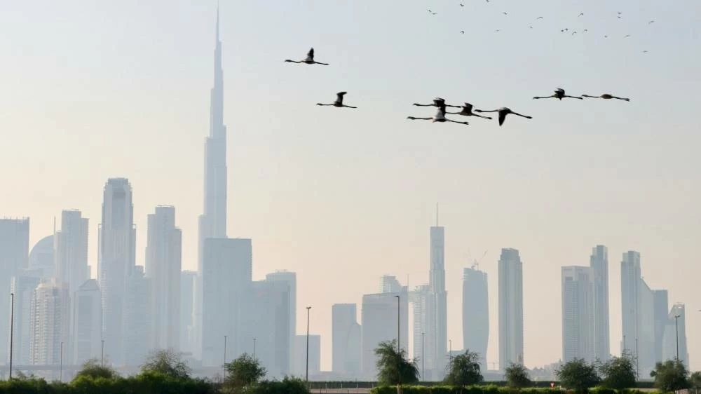 UAE weather forecast: Fog warning, 42°C in Dubai and rain coming to Fujairah this weekend