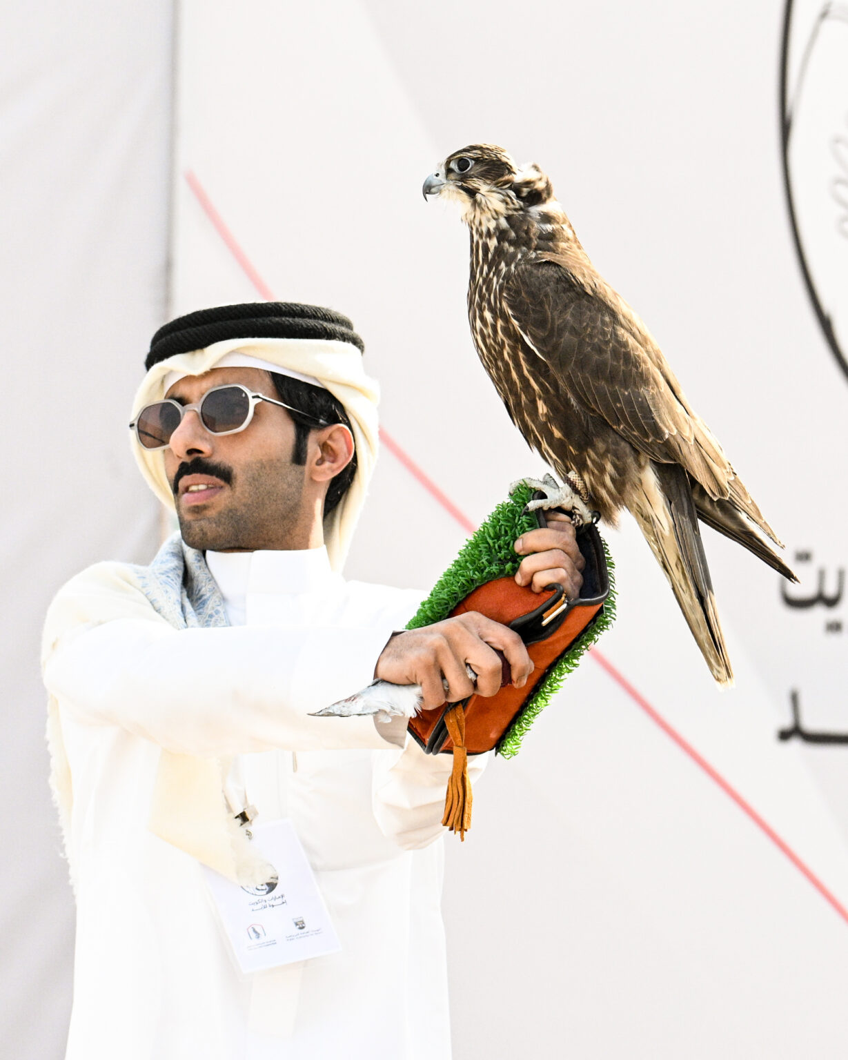 Emirates Falcon Racing International Cup targets global audience for falconry as Bahrain prepares to host second edition