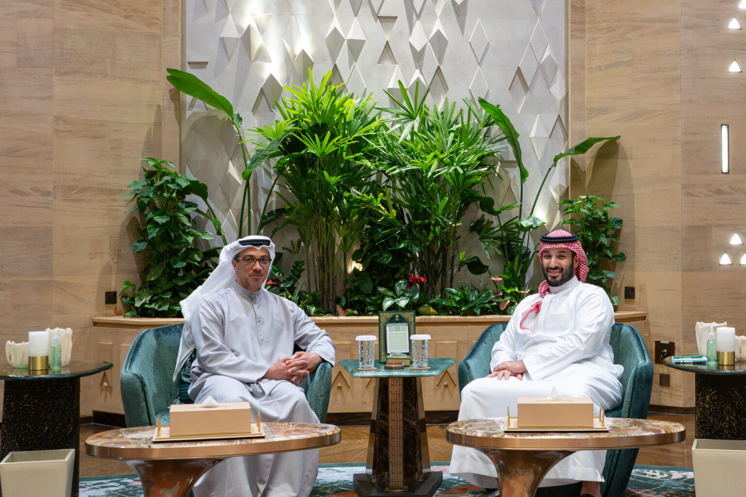 Mansour bin Zayed, Saudi Crown Prince discuss fraternal relations