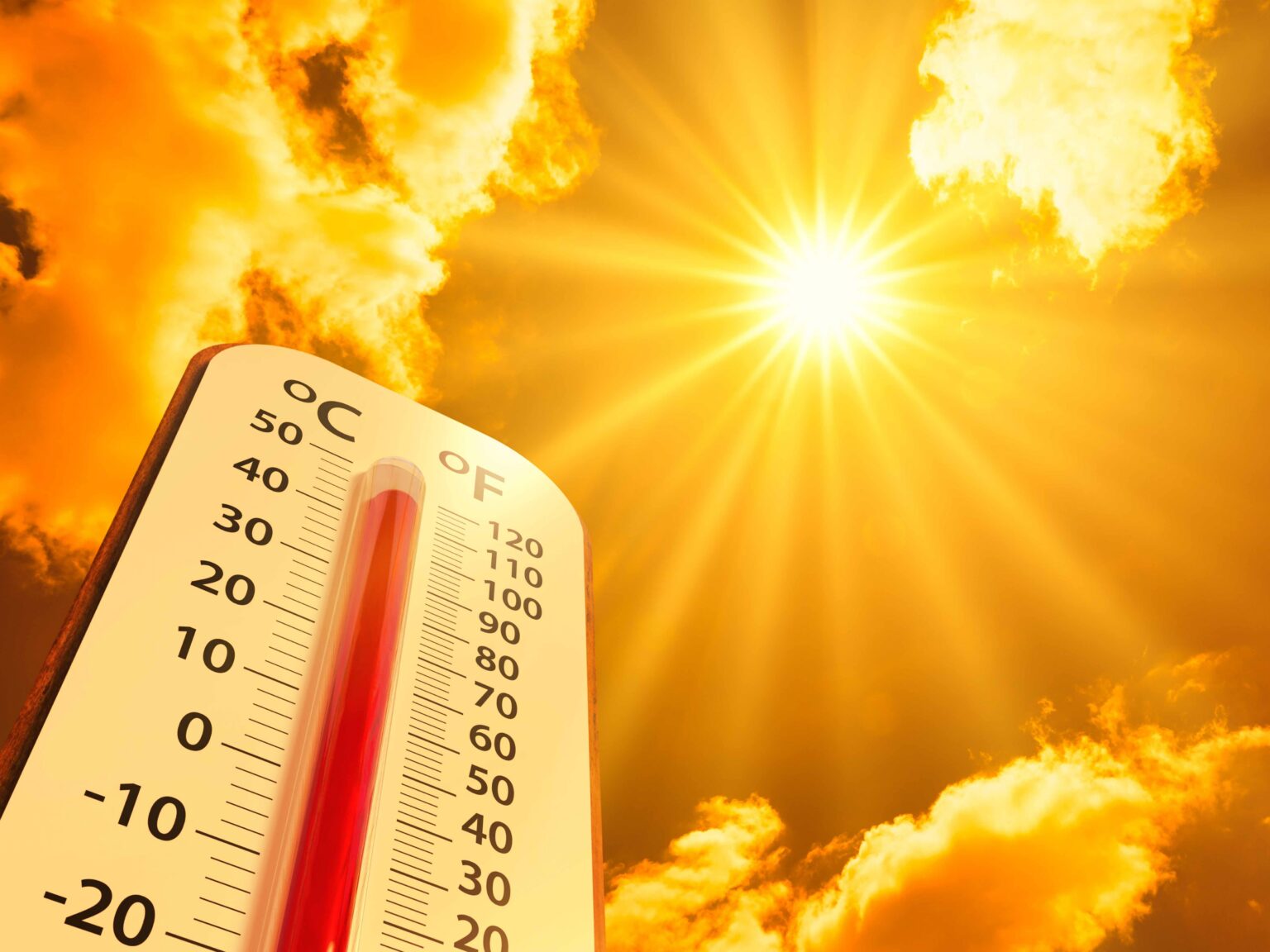 Summer heatwaves cost Germany €25 billion