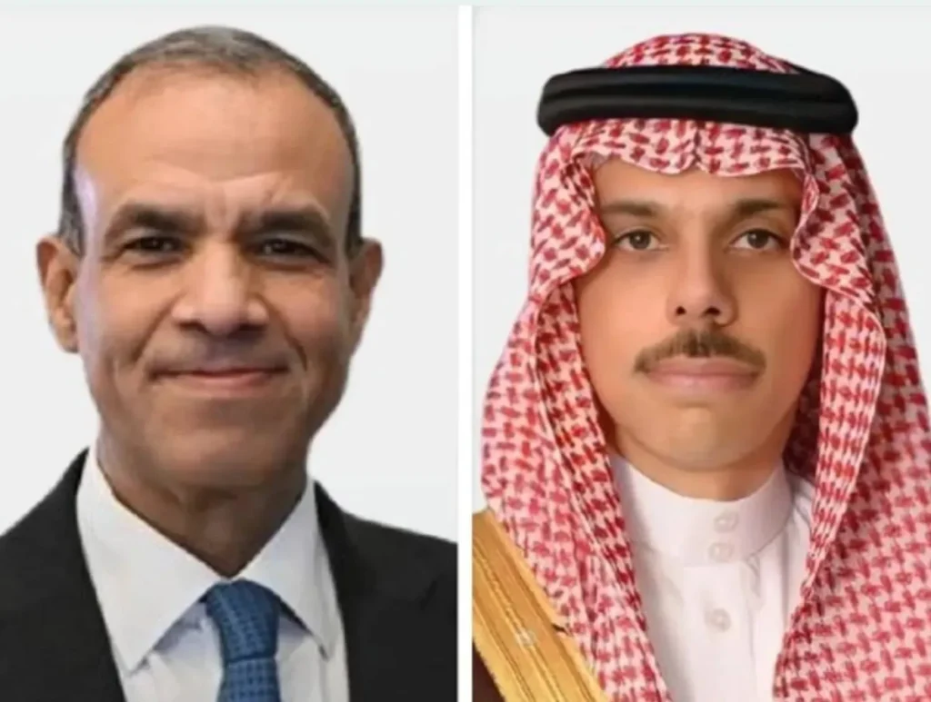 Egyptian FM, Arab League chief call Prince Faisal to condemn Houthi attacks