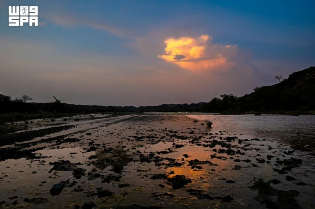 Jazan’s Abu Arish records highest rainfall at 14.2 mm, NCM reports