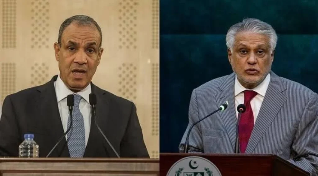 Pakistani, Egyptian FMs condemn Houthi attacks on Saudi Arabia in phone call