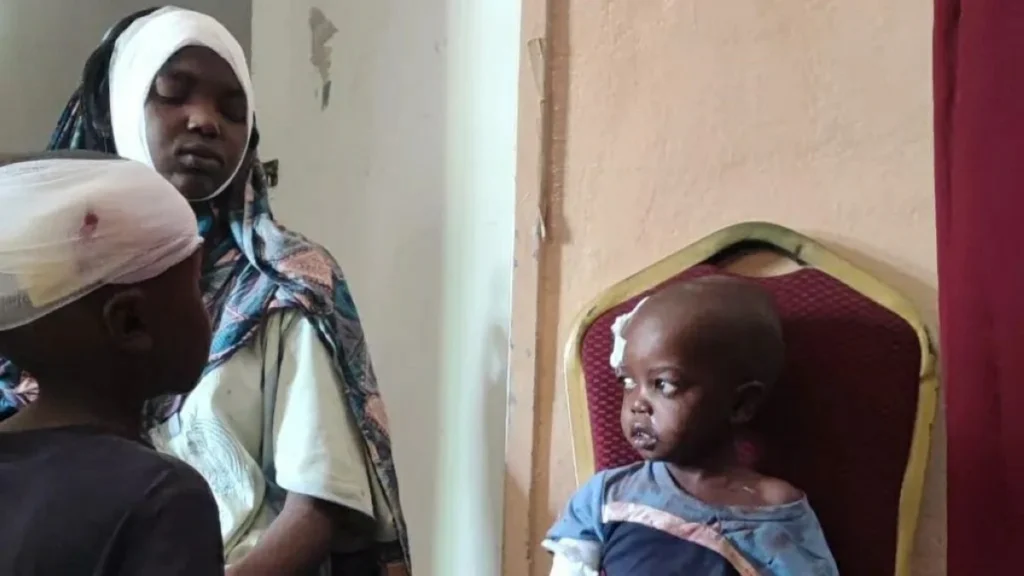 Sudan paramilitary deliberately targeted hospitals during el-Fasher siege: Report